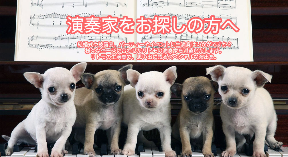 演奏家をお探しの方へ